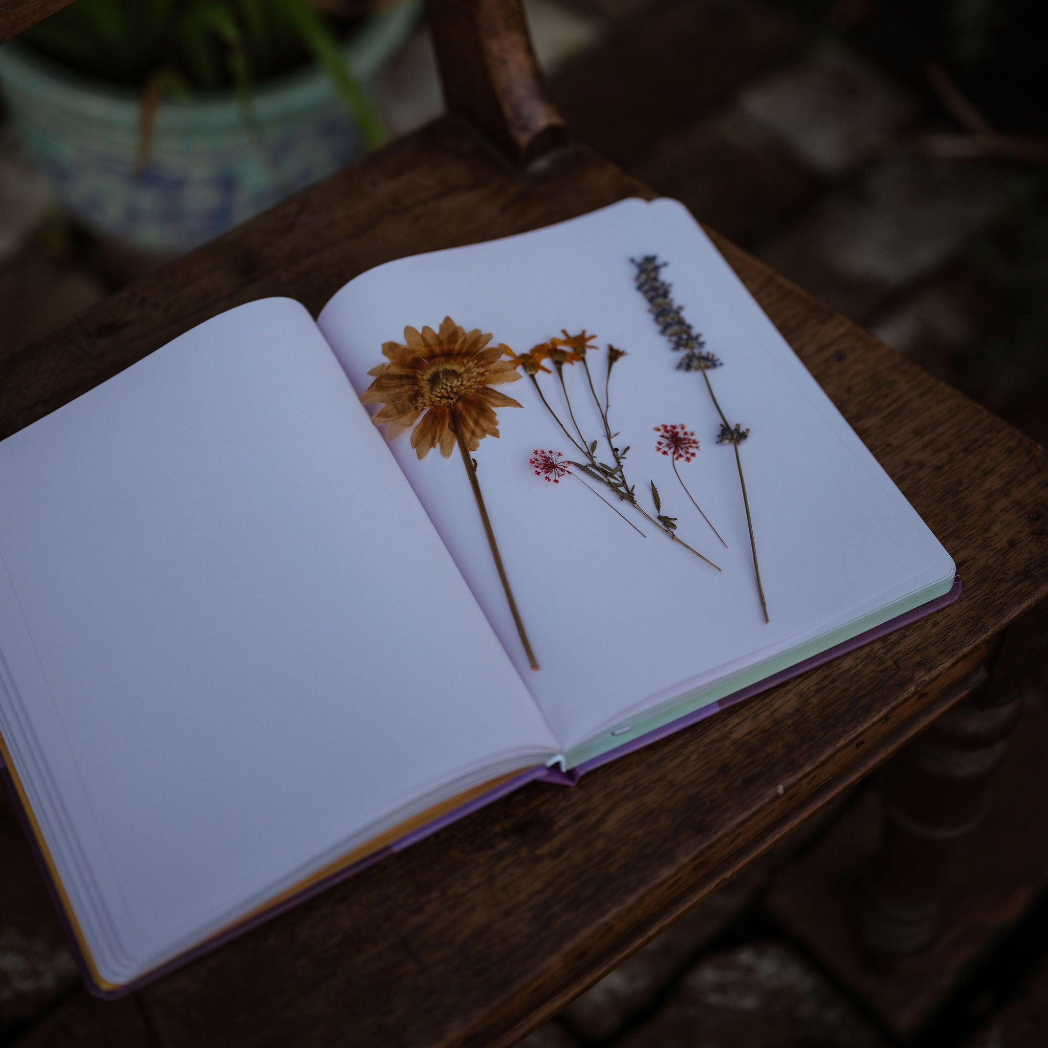 Honey Garden Journal Lavender